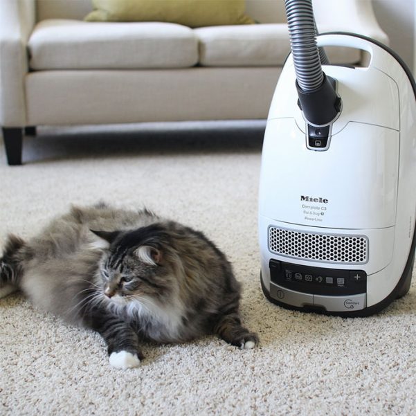 Miele Complete C3 Cat & Dog