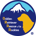 Golden retriever rescue of the rockies